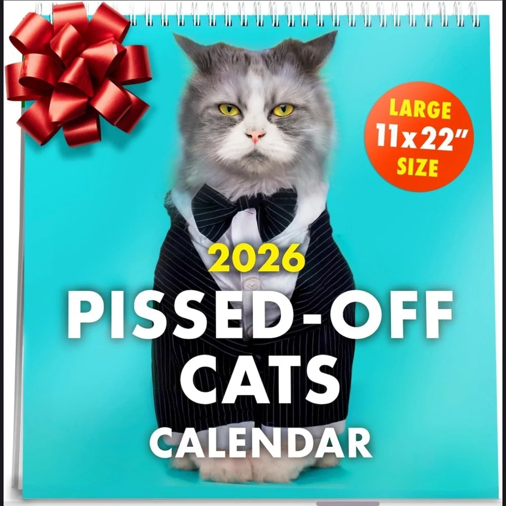Pissed-Off Cats 2026 Calendar - Large 11x22 Size